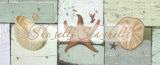 She Sells Sea Shells Prints by Tammy Repp
