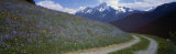 Road Through Hillside, Zillertaler, Austria Photographic Print by Panoramic Images 