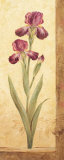 Grandiflora II Posters by Pamela Gladding