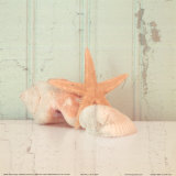 Sea Still II Print by Tammy Repp