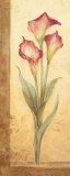 Grandiflora III Posters by Pamela Gladding
