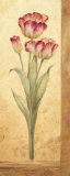 Grandiflora IV Poster by Pamela Gladding
