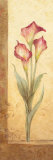 Grandiflora III Art by Pamela Gladding