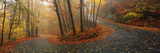 Winding Road Through Mountainside in Autumn, Monadnock Mountain, New Hampshire, USA Lámina fotográfica por Panoramic Images