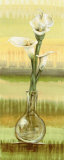 Calla Lilies Posters by Selina Werbelow Calla Lilies Posters by Selina Werbelow
