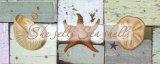 She Sells Sea Shells Print by Tammy Repp