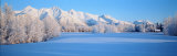 Chugach Mountains in Winter, Alaska, USA Fotografie-Druck von Panoramic Images 