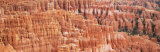 Pinnacle, Bryce Canyon National Park, Utah, USA Photographic Print by Panoramic Images 