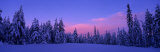 Forest in Winter, Dalarna, Sweden Photographic Print by Panoramic Images 