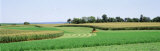 Harvesting, Farm, Frederick County, Maryland, USA Lámina fotográfica por Panoramic Images
