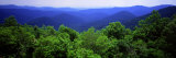 Smoky Mountain National Park, Tennessee, USA Photographie par Panoramic Images 