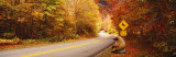 Autumn Road with Bear at Deer Crossing Sign, Vermont, USA Fotografie-Druck von Panoramic Images 