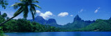 Lush Foliage and Rock Formations, Moorea Island, Tahiti Fotografie-Druck von Panoramic Images 