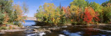 Trees Near a River, Bog River, New York State, USA Fotografie-Druck von Panoramic Images 
