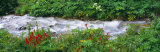 Grand Teton Park, Wyoming, USA Photographie par Panoramic Images 