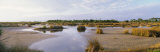 Black Point Wildlife, Merritt Island National Wildlife Refuge, Titusville, Florida, USA Photographic Print by Panoramic Images 