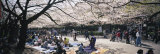 Group of People in a Park, Ueno Park, Tokyo Prefecture, Japan Photographic Print by Panoramic Images 