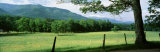 Meadow and Barbed Wire Fence, Cades Cove, Great Smoky Mountains National Park, Tennessee, USA Photographic Print by Panoramic Images 