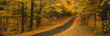 Autumn Road, Emery Park, New York State, USA Photographie par Panoramic Images 