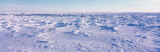 Panoramic View of a Polar Bear Habitat, Hudson Bay, Canada Photographic Print by Panoramic Images 
