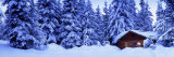Lost Lake Cabin, British Columbia, Canada Photographic Print by Panoramic Images 