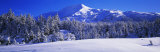 Mountains, Mountainview, Snow, Turnagain Pass, Chugach Mountains, Kenai Peninsula Alaska USA Photographic Print by Panoramic Images 