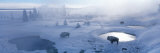 Bison West Thumb Geyser Basin Yellowstone National Park, Wyoming, USA Photographie par Panoramic Images 