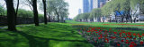 Public Gardens, Loop, Cityscape, Grant Park, Chicago, Illinois, USA Photographic Print by Panoramic Images 