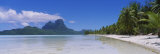 Palm Trees on the Beach, Bora Bora, French Polynesia Photographic Print by Panoramic Images 