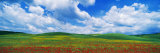Open Field, Hill, Clouds, Blue Sky, Tuscany, Italy Photographic Print by Panoramic Images 