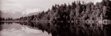 Lake Matheson, New Zealand Photographic Print by Panoramic Images Lake Matheson, New Zealand Photographic Print by Panoramic Images