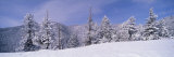 Snow Covered Landscape, Colorado, USA Photographic Print by Panoramic Images Snow Covered Landscape, Colorado, USA Photographic Print by Panoramic Images