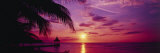 Sunset, Palm Trees, Beach, Water, Ocean, Montego Bay Jamaica Reprodukcja zdjęcia autor Panoramic Images Sunset, Palm Trees, Beach, Water, Ocean, Montego Bay Jamaica Reprodukcja zdjęcia autor Panoramic Images