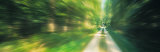 Road, Greenery, Trees, Germany Photographic Print by Panoramic Images Road, Greenery, Trees, Germany Photographic Print by Panoramic Images