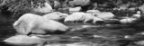 Rocks in the Swift River, White Mountain National Forest, New Hampshire, USA Lámina fotográfica por Panoramic Images Rocks in the Swift River, White Mountain National Forest, New Hampshire, USA Lámina fotográfica por Panoramic Images