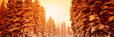 Steamboat Springs, Colorado, USA Photographic Print by Panoramic Images 
