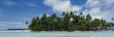 Palm Trees on an Island, Rangiroa, French Polynesia Photographic Print by Panoramic Images 