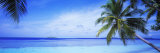 Ocean, Island, Water, Palm Trees, Maldives Photographie par Panoramic Images 