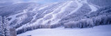 Mountains, Snow, Steamboat Springs, Colorado, USA Photographie par Panoramic Images 