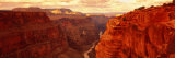 Toroweap Point, Grand Canyon, Arizona, USA Photographic Print by Panoramic Images 