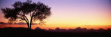 Debre Damo, Ethiopia, Africa Photographie par Panoramic Images 