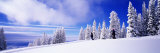 Steamboat Springs, Colorado, USA Photographic Print by Panoramic Images 