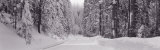 Road, Yosemite Park, California, USA Photographic Print by Panoramic Images 