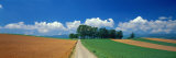 Field with Road, Hokkaido, Japan Photographic Print by Panoramic Images 