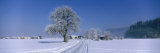 Winter Scenic, Austria Lámina fotográfica por Panoramic Images Winter Scenic, Austria Lámina fotográfica por Panoramic Images