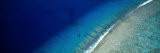 Aerial View of Beach, Teti'aroa Island, Polynesia Photographie par Panoramic Images 