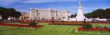 Buckingham Palace, London, England, United Kingdom Photographic Print by Panoramic Images 