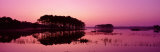 View of the National Forest During Sunset, Chincoteague National Wildlife Refuge, Virginia, USA Lámina fotográfica por Panoramic Images
