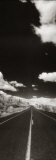 Alaska Highway, Alaska, USA Photographic Print by Panoramic Images 