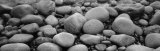 Close-up of Rocks, Acadia National Park, Maine, USA Lámina fotográfica por Panoramic Images